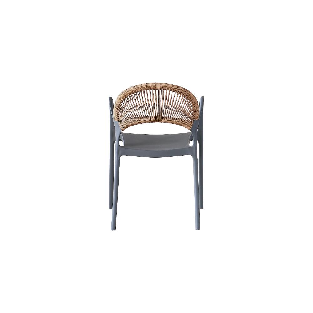 Set de 2 Sillas Daytona, Gris Oscuro y Café Claro, con Espaldar, Reposa Brazos y Diseño Minimalista,
